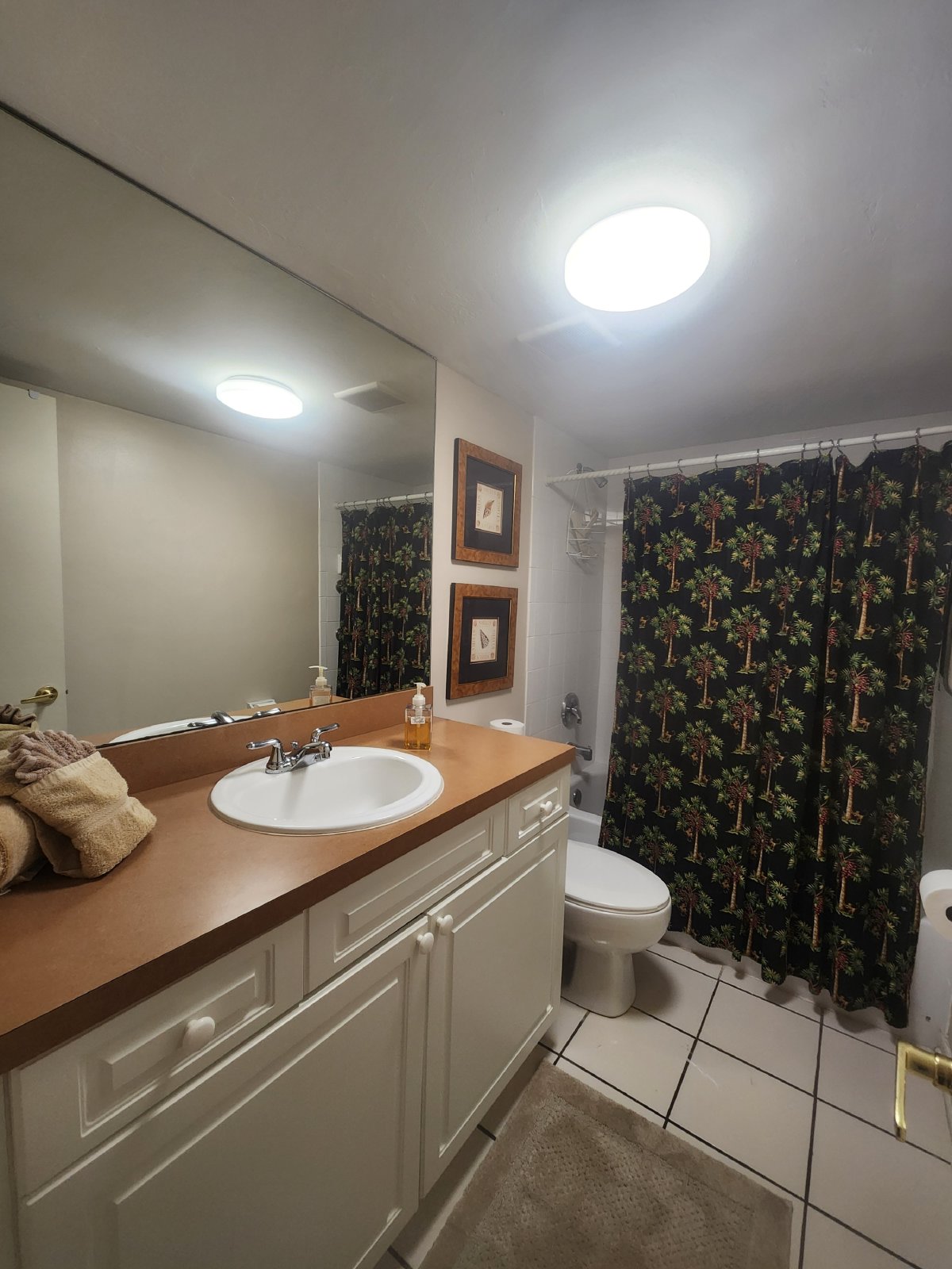4069 Northlight Drive - 1805 property image